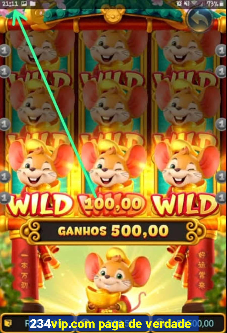 234vip.com paga de verdade